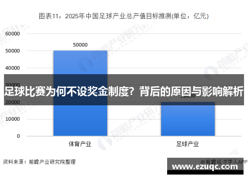 足球比赛为何不设奖金制度？背后的原因与影响解析