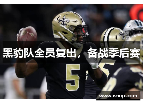黑豹队全员复出，备战季后赛